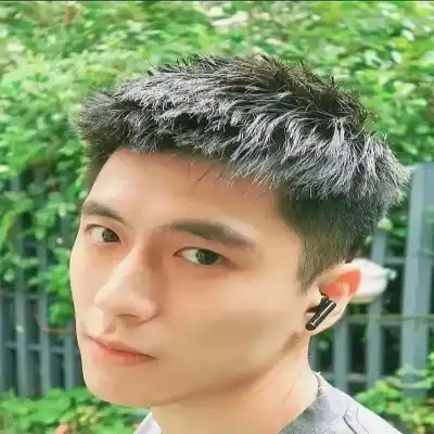 皮椿